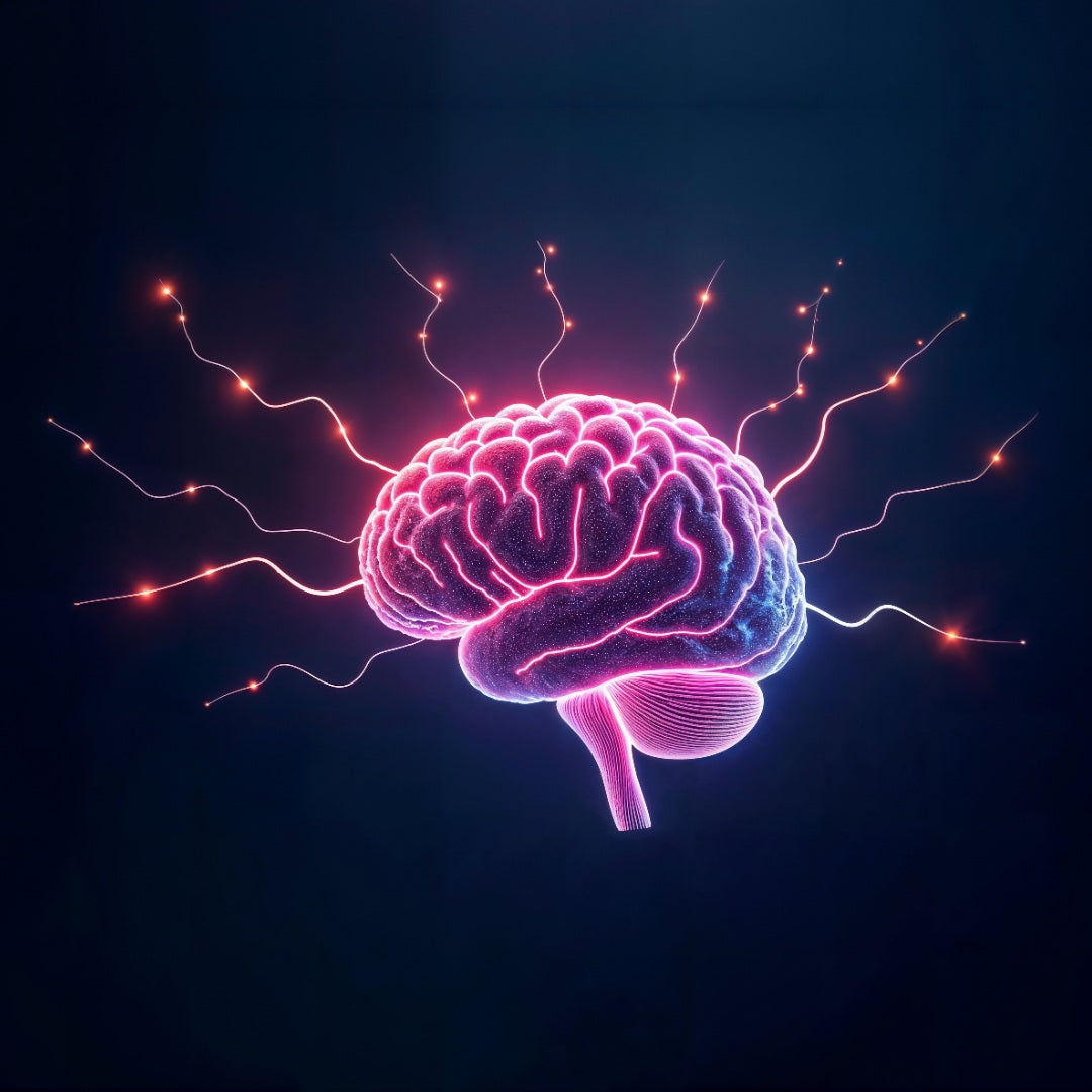 GABA (Gamma Aminobutyric Acid)